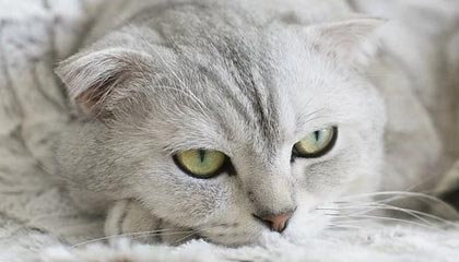 爆料线｜新91视频看似普通却处处埋钩子，这次不只是热度高，让人越看越发凉