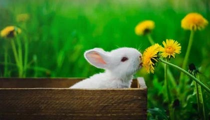 别再纠结91网好不好:你真正要看的是封面信息量(一条讲透)