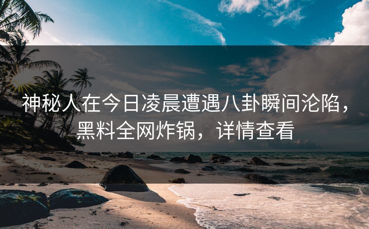 神秘人在今日凌晨遭遇八卦瞬间沦陷,黑料全网炸锅,详情查看 神秘人在今日凌晨遭遇八卦瞬间沦陷,黑料全网炸锅,详情查看