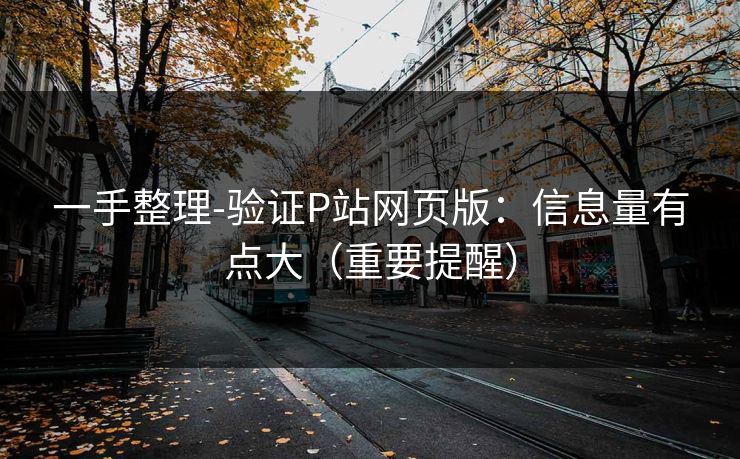 一手整理-验证P站网页版:信息量有点大(重要提醒)
